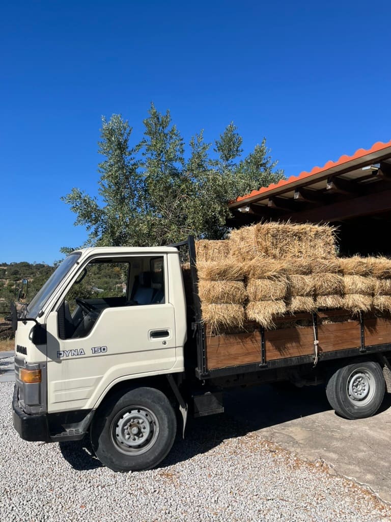 Lastwagen mit der Heulieferung.