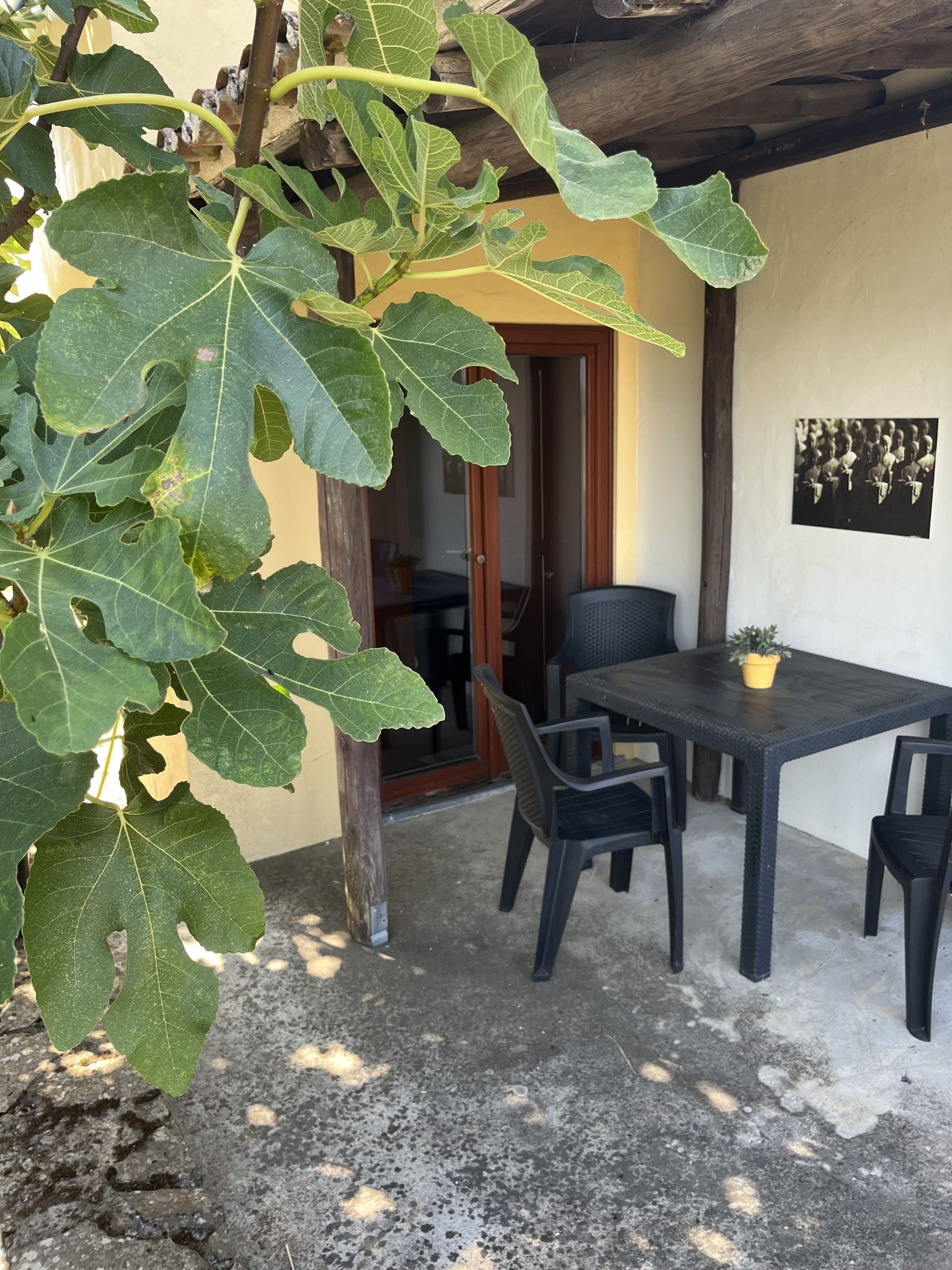 Terrasse der Casa Hridaya mit Tisch und Stühlen unter einem Feigenbaum.
