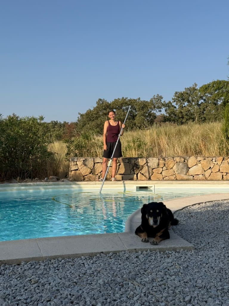 Reinigung des Pools.