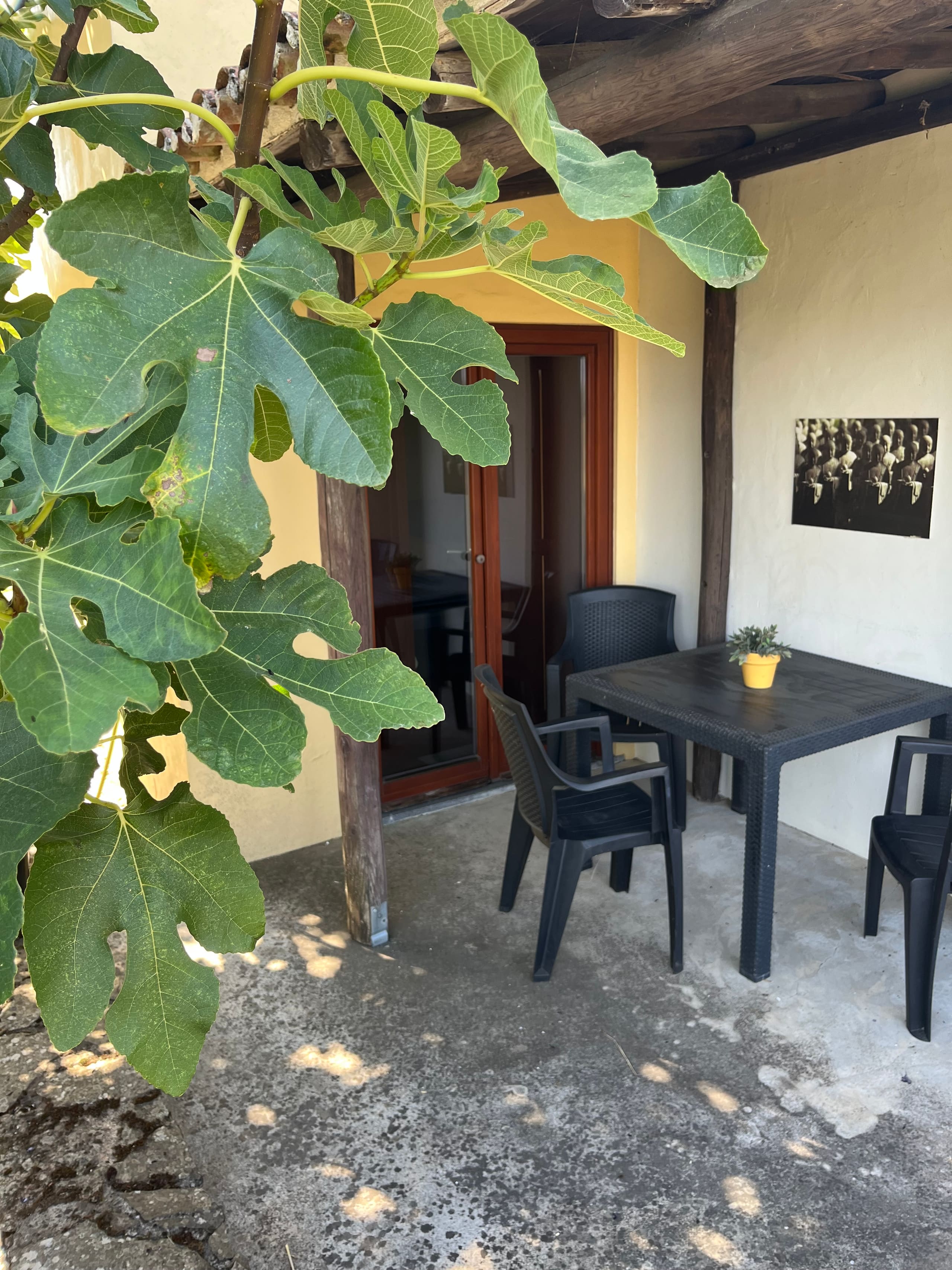 Terrasse der Casa Hridaya mit Tisch und Stühlen unter einem Feigenbaum.