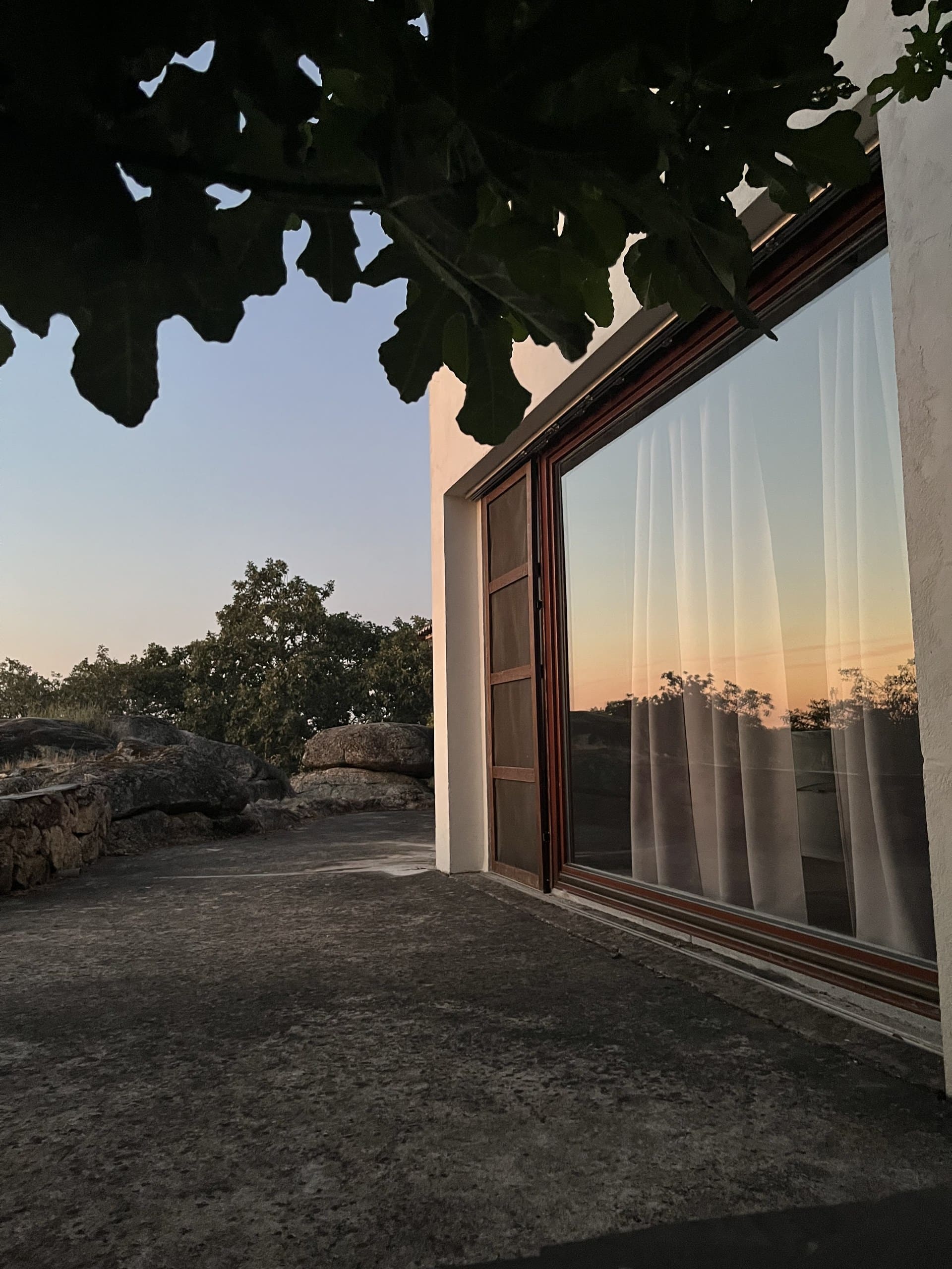 Fenster der Casa Amor Perfeito im Abendlicht, davor die Blätter des Feigenbaums.