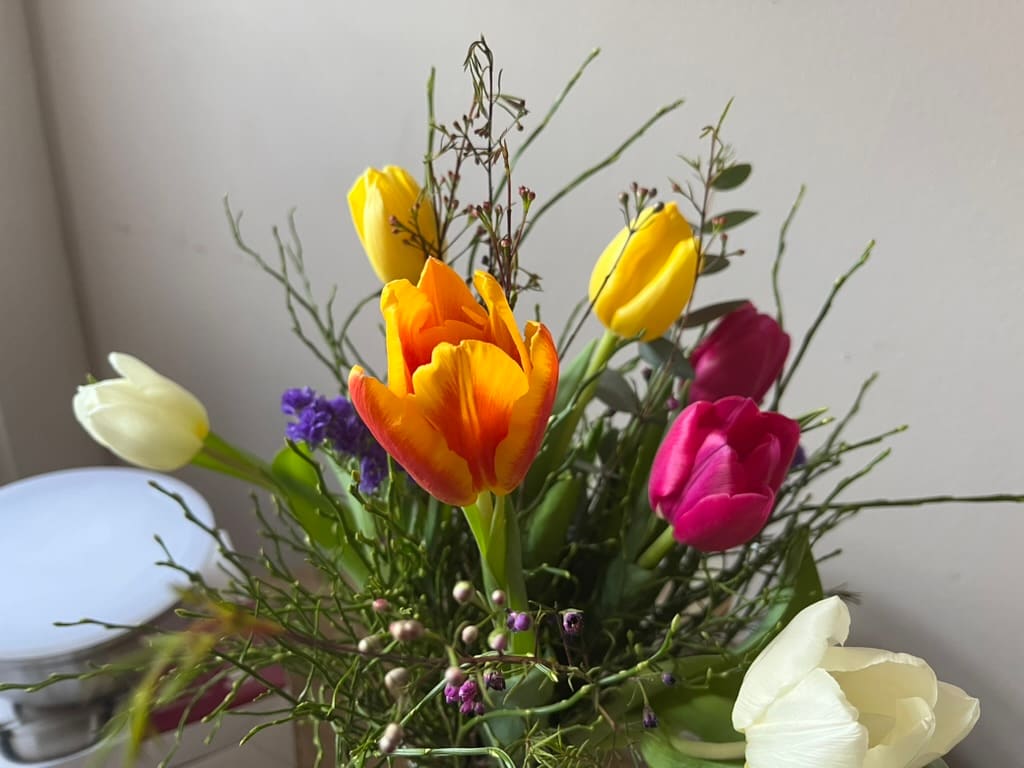 Tulpenstrauß zur Feier des Hofkaufs.